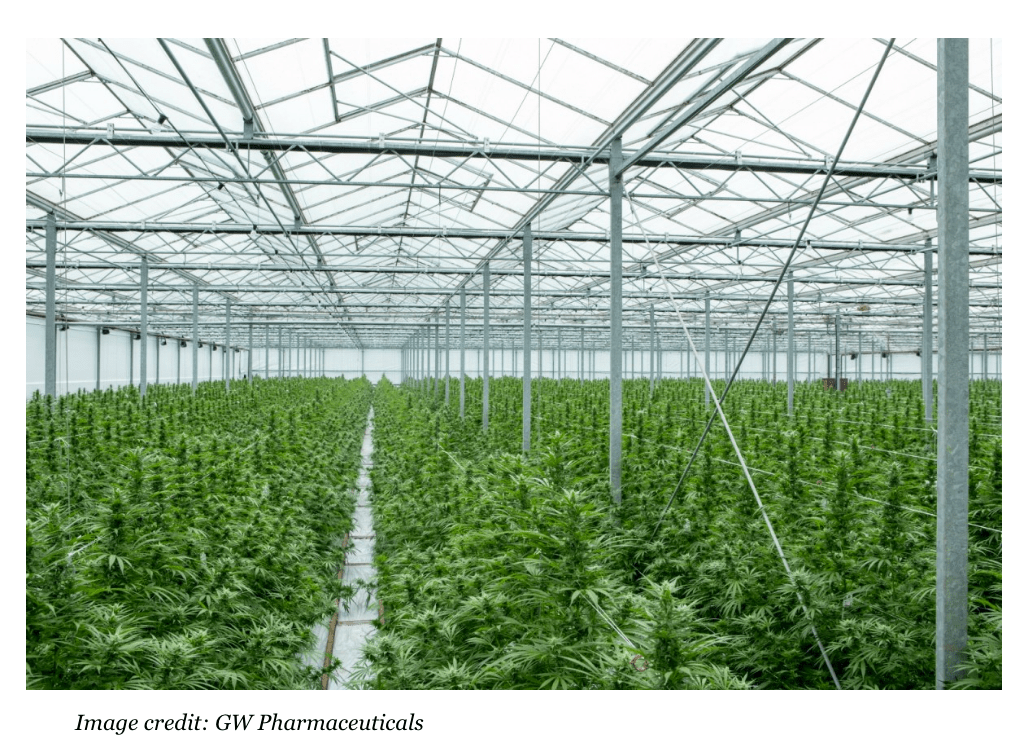 Captura de pantalla 2016-06-28 a las 7.10.22 p.m.