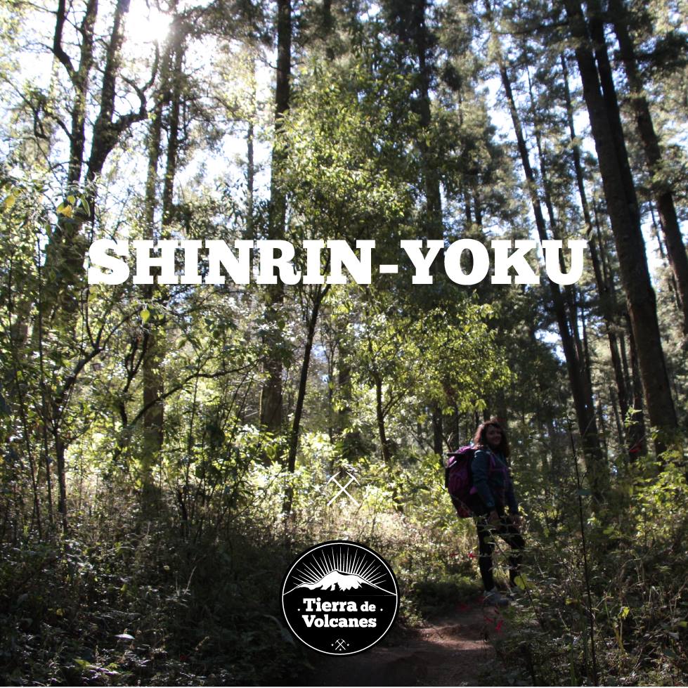 16177909_1470196499679065_2973342869227375852_o