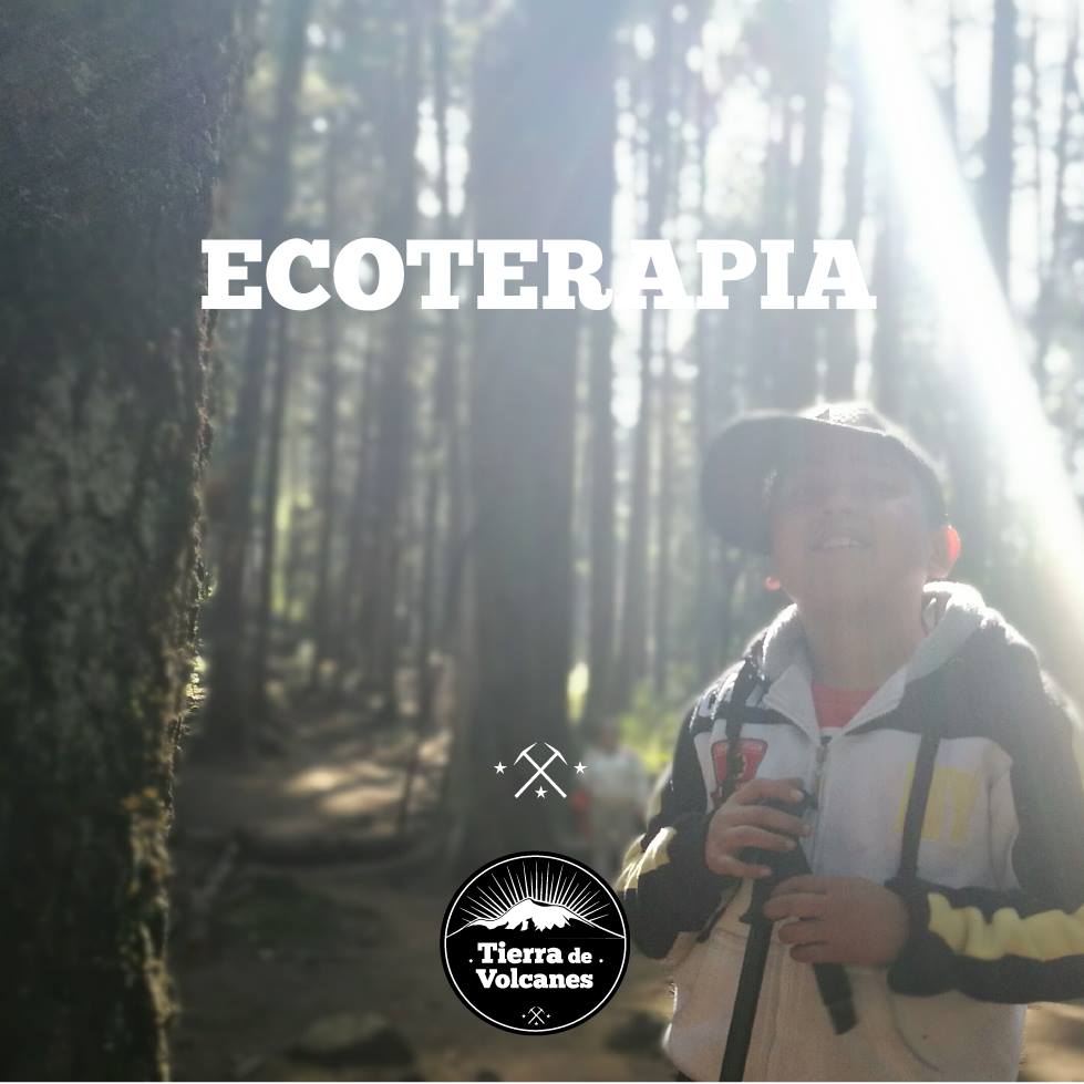 16402992_1476792925686089_8019057536792965074_o