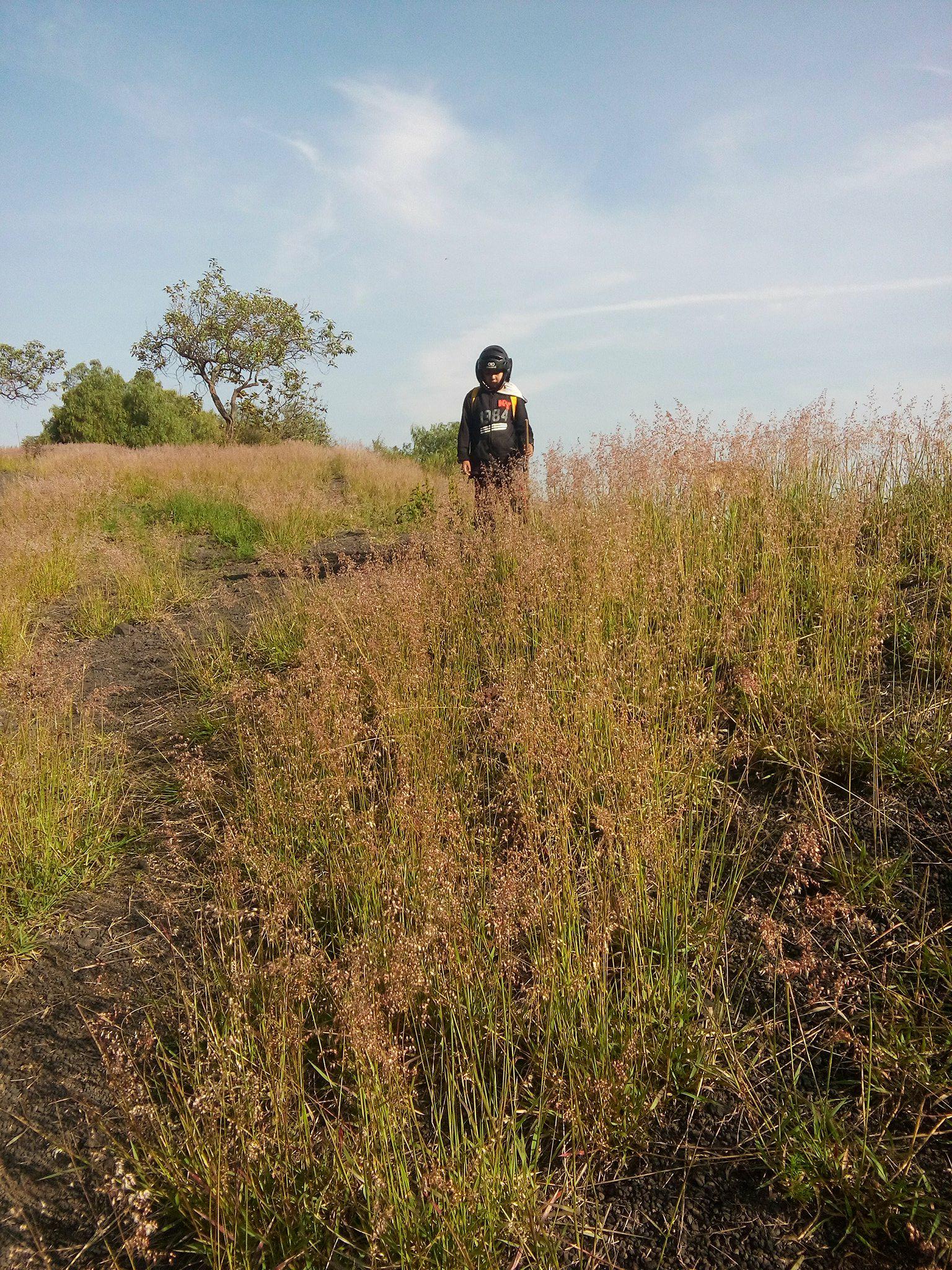 29634447_569175323450882_240243890_o