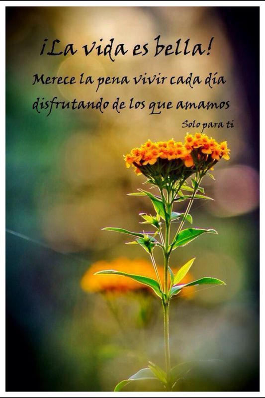 Epilepsia, compañera de&nbsp;vida.