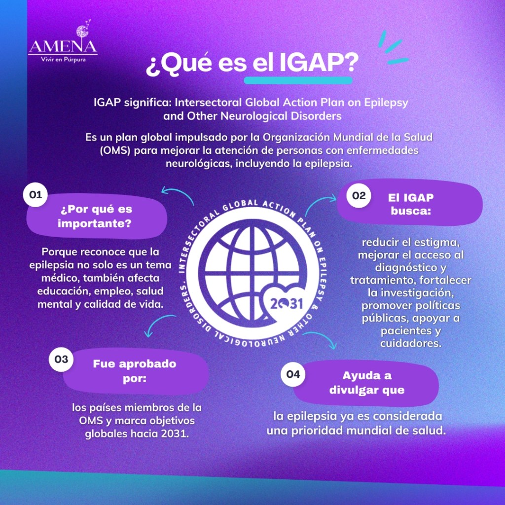 ¿Qué es el&nbsp;IGAP?